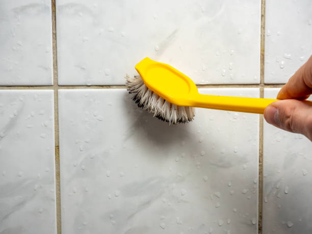 Mold Removal Process in Waurika, OK