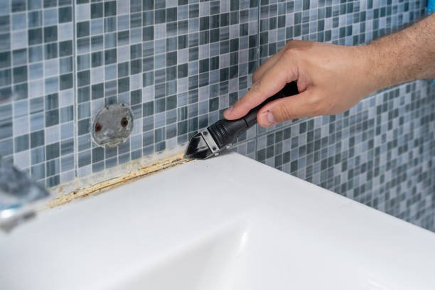 Best Professional Mold Removal  in Waurika, OK