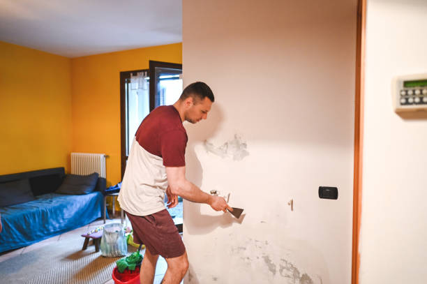 Certified Mold Removal in Waurika, OK